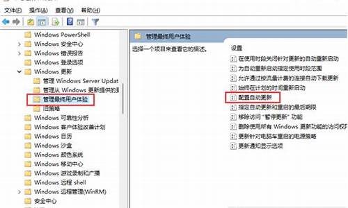 阻止电脑系统更新系统更新_如何阻止电脑更新windows10