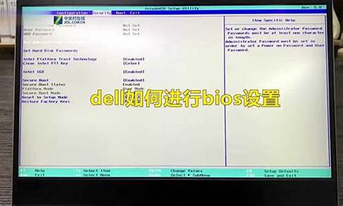 dell怎么调启动项,dell电脑系统启动项设置